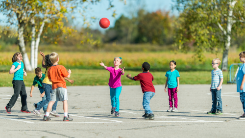 the school team will conduct observations in the school setting that are areas of concern, including the playground. 